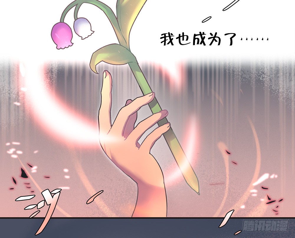 章节图片