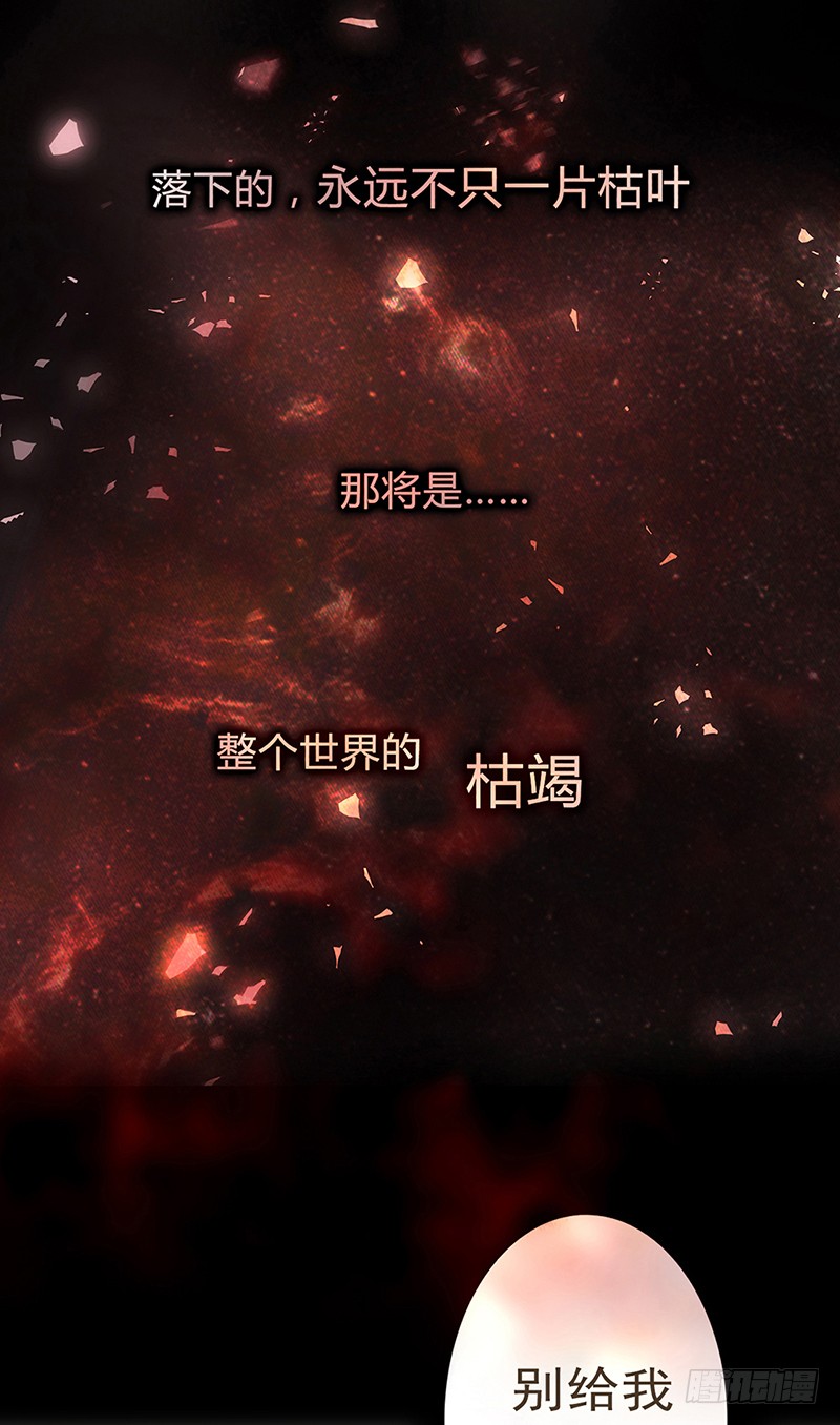 章节图片