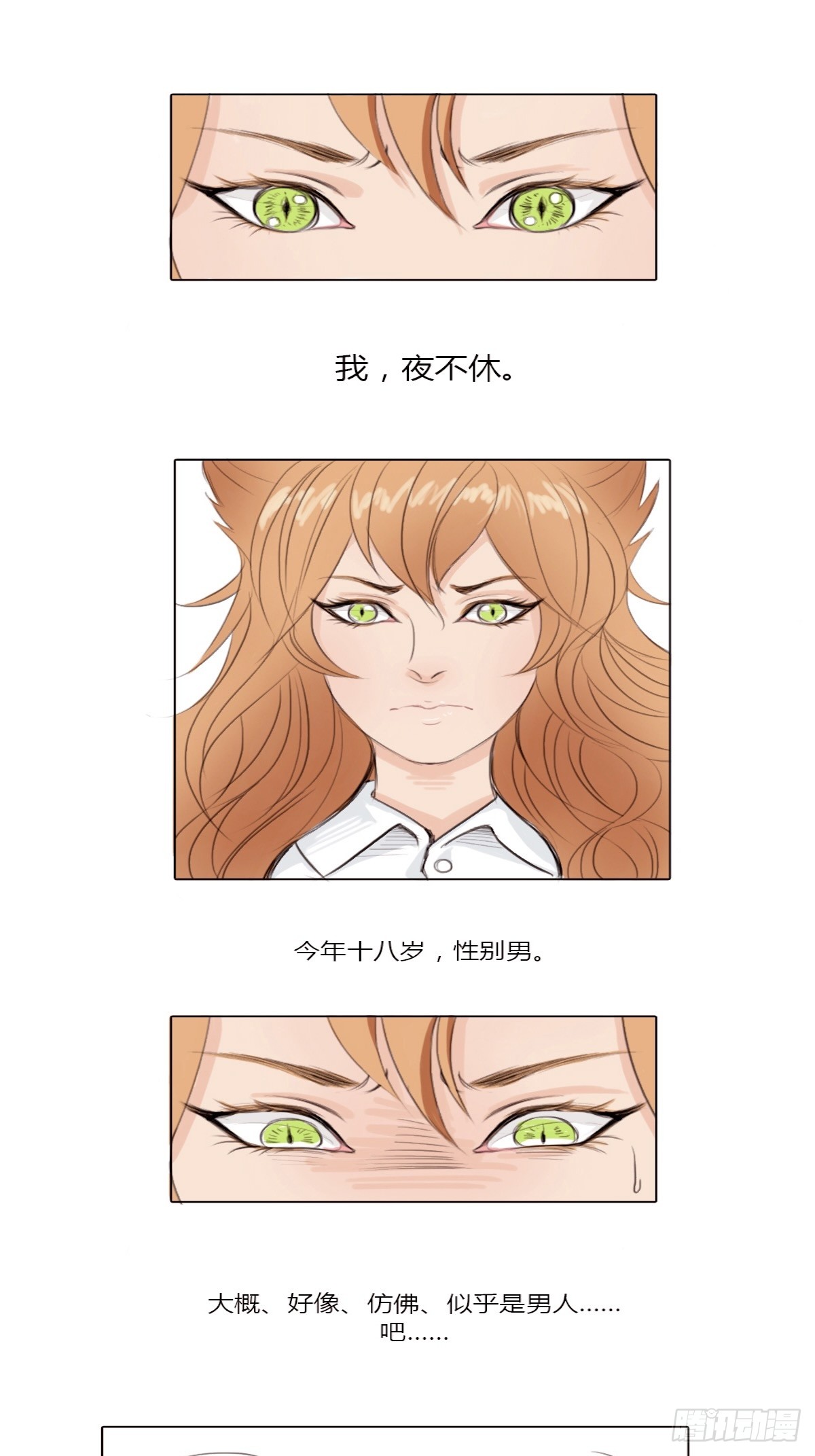 章节图片